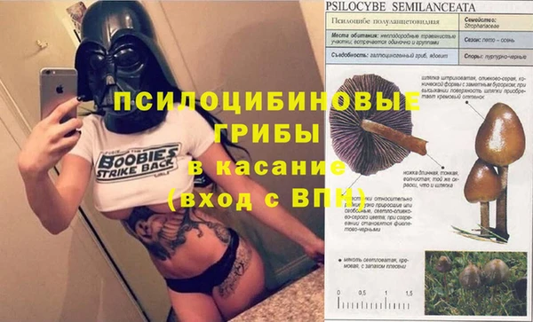 прущий лед Арсеньев