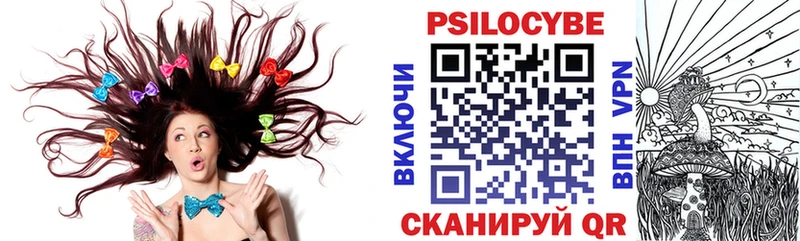Псилоцибиновые грибы Psilocybe Липки